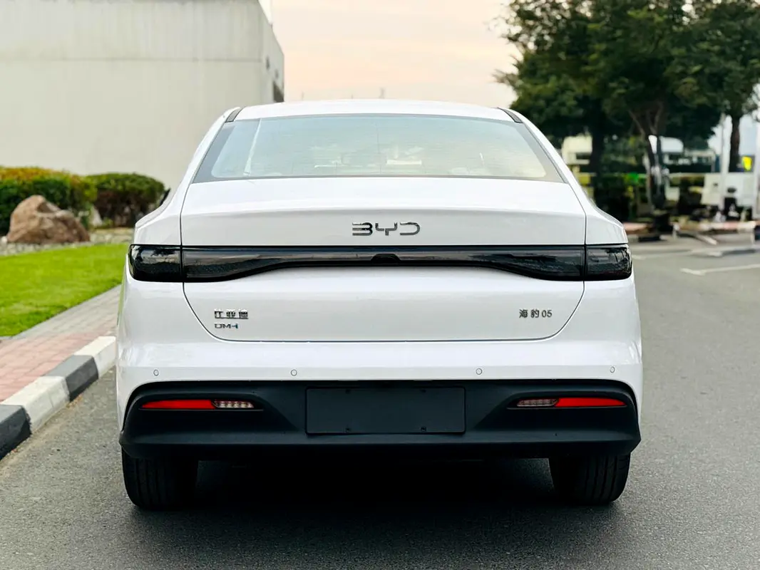 سيل 05